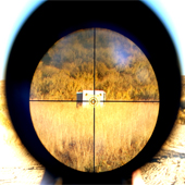 target-shooting-s.jpg