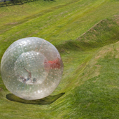 zorbing.jpg