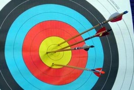 archery target