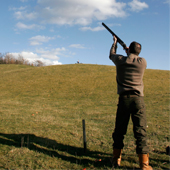 clay pigeon shooting